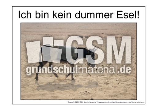 Dummer-Esel-2.pdf